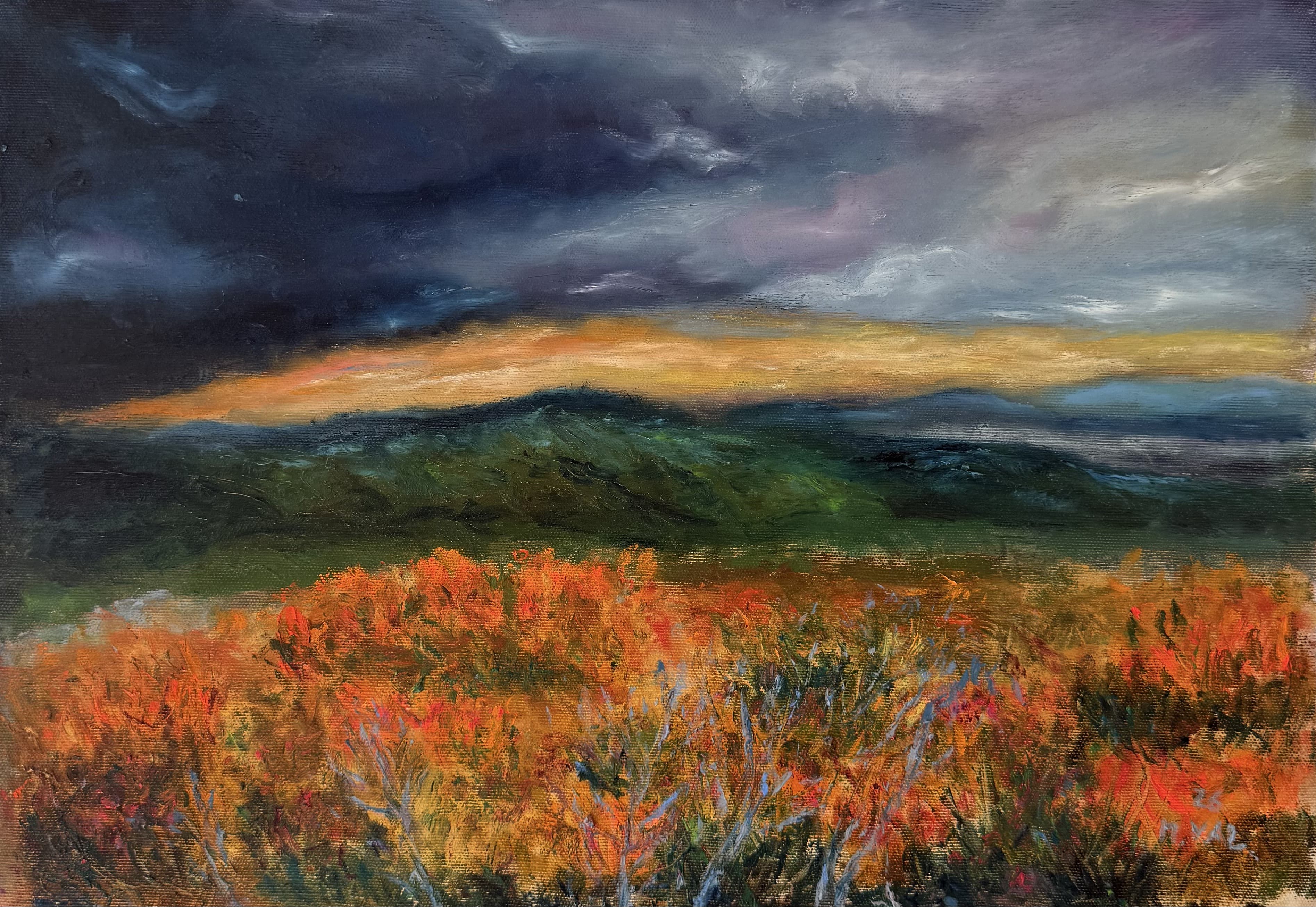 Obraz 50x35 cm