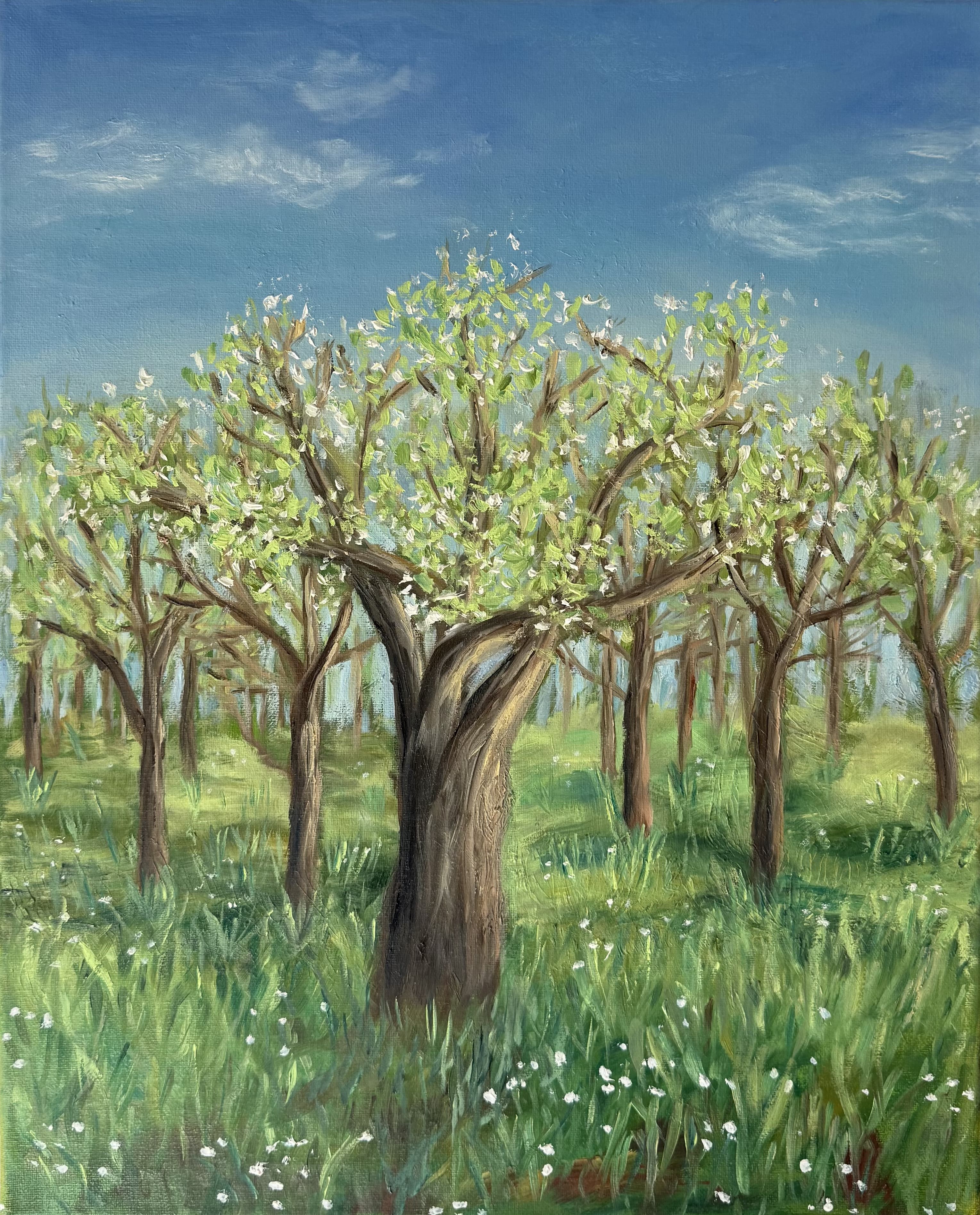 Obraz 40x50 cm